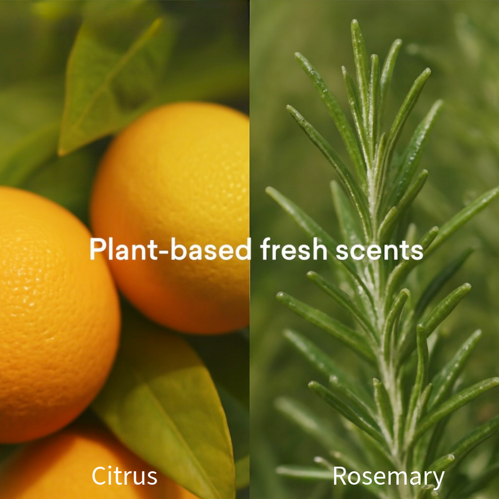 Fresh Start | Non-Toxic All Purposr Cleaning Spray Kit.