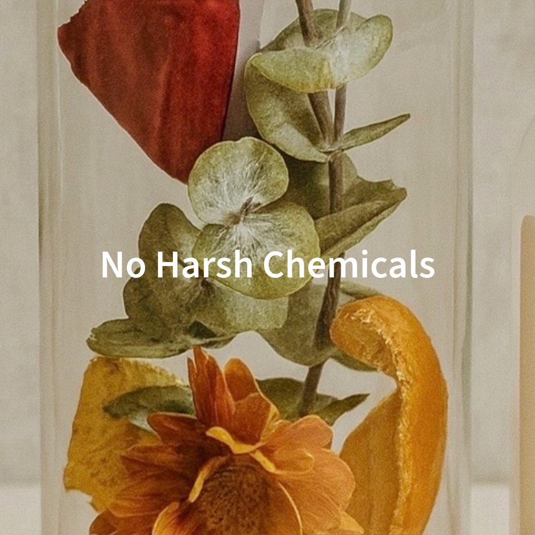 Fresh Start | Non-Toxic All Purposr Cleaning Spray Kit.